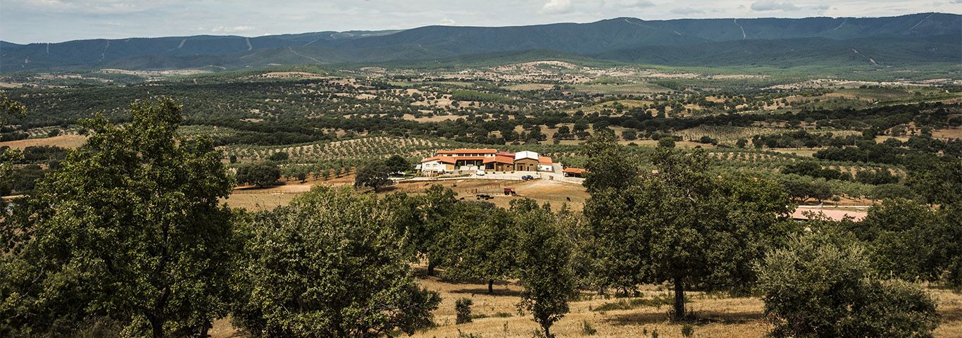 nuevo hotel rural habitat ciguena negra